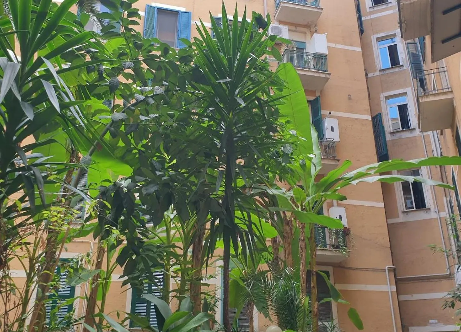 Roma Apartment Near To Colosseum Re-House  Rome