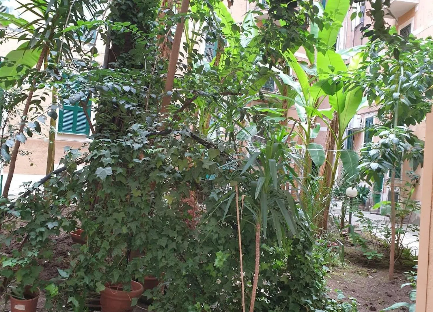 Roma Apartment Near To Colosseum Re-House 0*, Rome